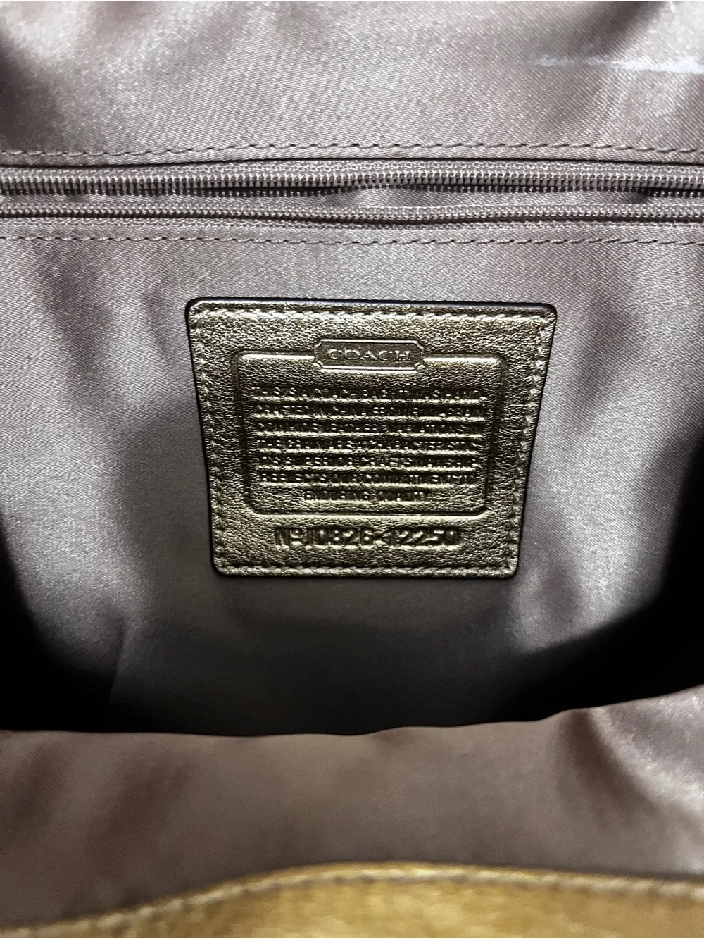Coach Metallic Gold Leather Hobo with Circular Handle